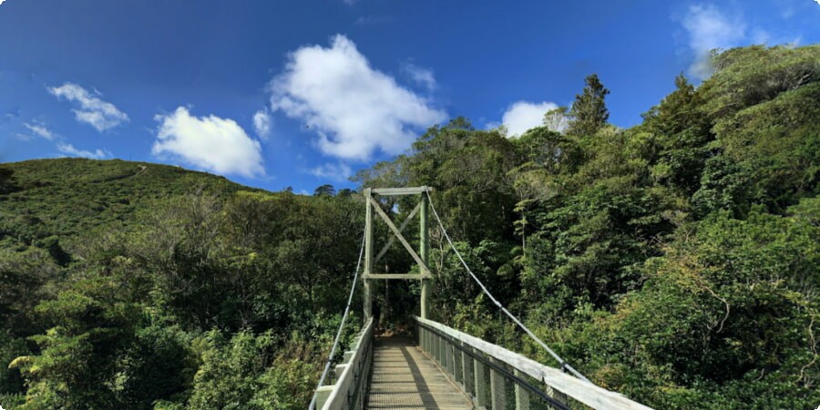 Origins and Founding of Zealandia