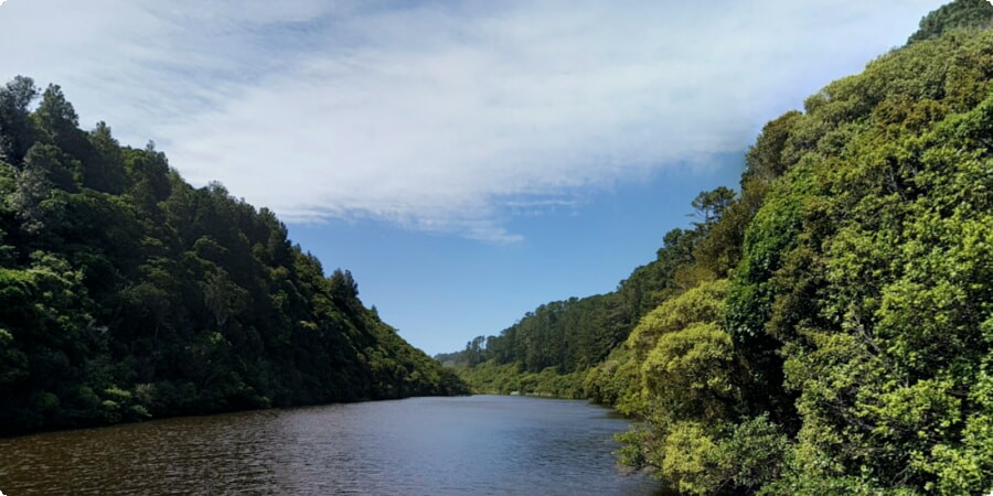 Impact and Future of Zealandia Te Māra a Tāne