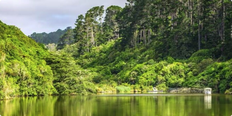 Cultural and Educational Aspects of Zealandia