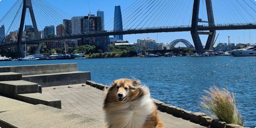 Photography Tips: Capturing Anzac Bridge